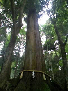 玉藻稲荷神社 3